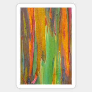 Rainbow Eucalyptus Sticker